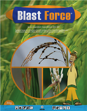 Blastforce 30g.png